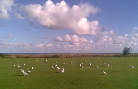 WINTERTON FRONT