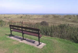 Winterton_Valley_view